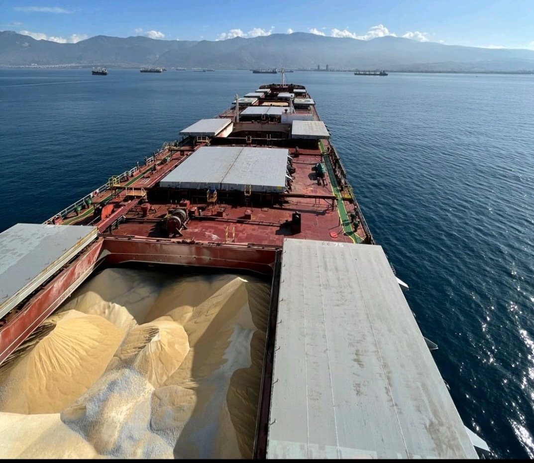 Dry Bulk Ship Brokerin