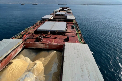 Dry Bulk Ship Brokerin